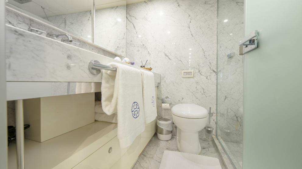 A simple but luxurious marble-clad bathroom with shower, washbasin and toilet.